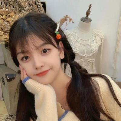 不能触犯的条规