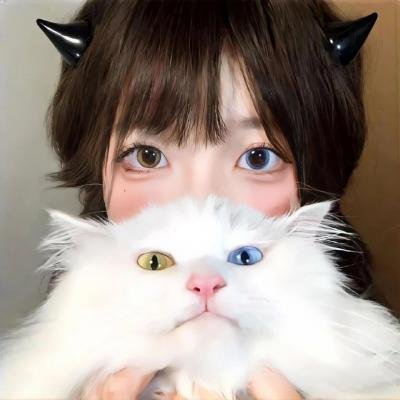 双生陌生人粤语